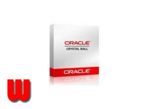 _wafiapps.com_mahsu.com_Oracle Crystal Ball Enterprise